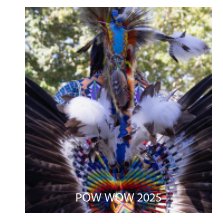 Pow Wow  2025 book cover